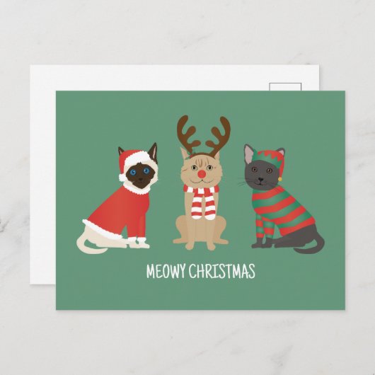 Meowy kerstkatten briefkaart (Voorkant / Achterkant)