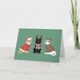 Meowy kerstkatten feestdagen kaart