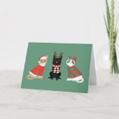 Meowy kerstkatten feestdagen kaart (Voorkant)