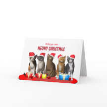 Meowy Kerstkatten in de petten van Kerstmis