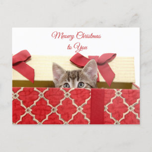 Meowy Kerstmis aan U Leuke Kitten in Gift Box Feestdagenkaart