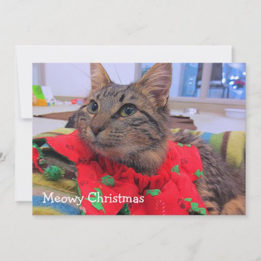 Meowy Kerstmis Bedankkaart (Voorkant)