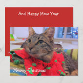 Meowy Kerstmis Bedankkaart (Voorkant / Achterkant)