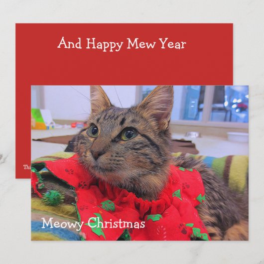 Meowy Kerstmis Bedankkaart (Voorkant / Achterkant)