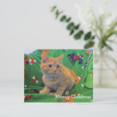 Meowy Kerstmis Bedankkaart (Staand voorkant)