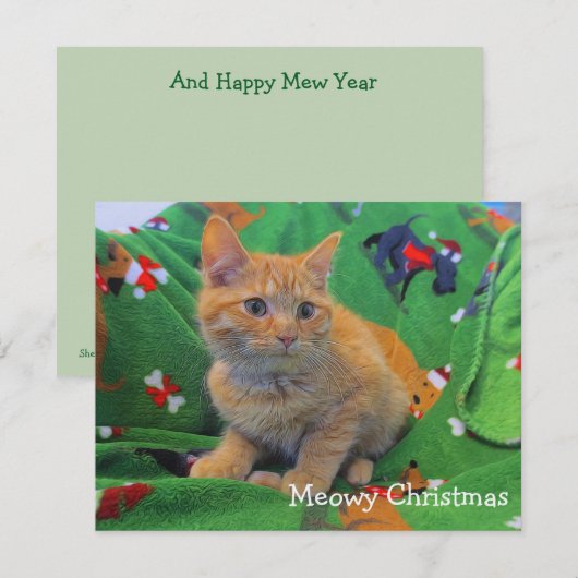 Meowy Kerstmis Bedankkaart (Voorkant / Achterkant)