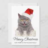Meowy Kerstmis Cute Cat Holiday Aangepaste Fotokaa Kaart (Voorkant)