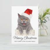 Meowy Kerstmis Cute Cat Holiday Aangepaste Fotokaa Kaart (Staand voorkant)