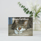 Meowy Kerstmis De feestdagen van je kat Briefkaart (Staand voorkant)