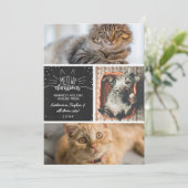 Meowy Kerstmis - Drie kattenfotocollage Aankondiging (Staand voorkant)