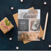 Meowy Kerstmis - Drie kattenfotocollage Aankondiging