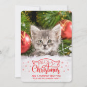 Meowy Kerstmis en een nieuwe fotokaart voor een do (Voorkant)