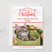 Meowy Kerstmis en een nieuwe fotokaart voor een do (Voorkant)