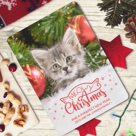 Meowy Kerstmis en een nieuwe fotokaart voor een do