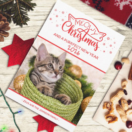 Meowy Kerstmis en een nieuwe fotokaart voor een do