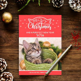 Meowy Kerstmis en een nieuwe fotokaart voor een do