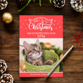 Meowy Kerstmis en een nieuwe fotokaart voor een do