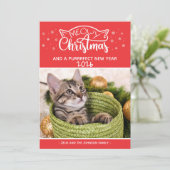 Meowy Kerstmis en een nieuwe fotokaart voor een do (Staand voorkant)