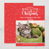 Meowy Kerstmis en een nieuwe fotokaart voor een do (Voorkant / Achterkant)