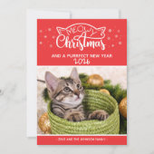 Meowy Kerstmis en een nieuwe fotokaart voor een do (Voorkant)