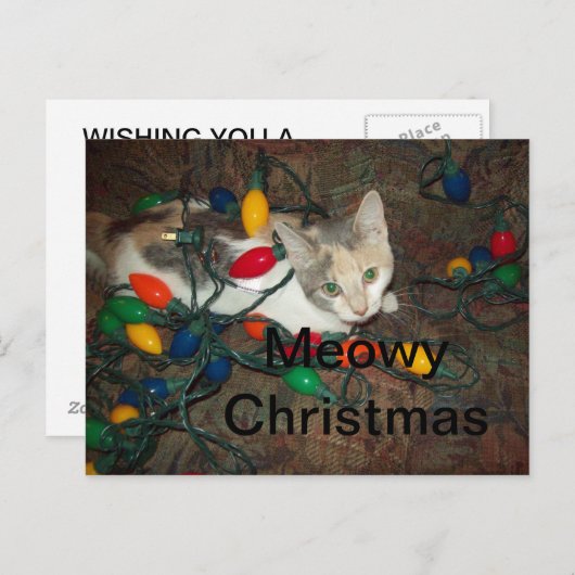 Meowy Kerstmis Feestdagenkaart (Voorkant / Achterkant)