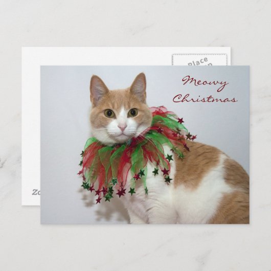 Meowy Kerstmis Feestdagenkaart (Voorkant / Achterkant)