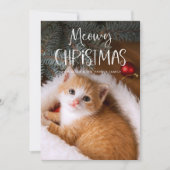 Meowy Kerstmis | Foto van Cute Funny Pet Cat Feestdagenkaart (Voorkant)
