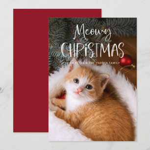 Meowy Kerstmis   Foto van Cute Funny Pet Cat Feestdagenkaart