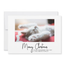 Meowy Kerstmis Groeten van Uw Huisdier Kat