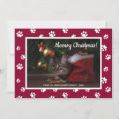 Meowy Kerstmis! Kat foto van Cat Cat White Paw-pri Feestdagenkaart (Voorkant)