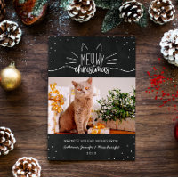Meowy Kerstmis - Kat kerstfoto