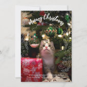 Meowy Kerstmis Kat Pet Foto Kerstmis Kaart (Voorkant)