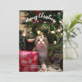 Meowy Kerstmis Kat Pet Foto Kerstmis Kaart (Staand voorkant)