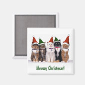 "Meowy Kerstmis!" Katten in Petten Magneet (Voorkant / Achterkant)