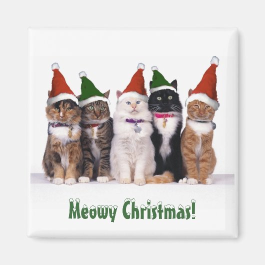 "Meowy Kerstmis!" Katten in Petten Magneet (Voorkant)