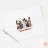 "Meowy Kerstmis!" Katten in Petten Ronde Sticker (Envelop)