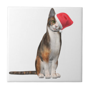 Meowy Kerstmis met een speelse kat in een pet Tegeltje