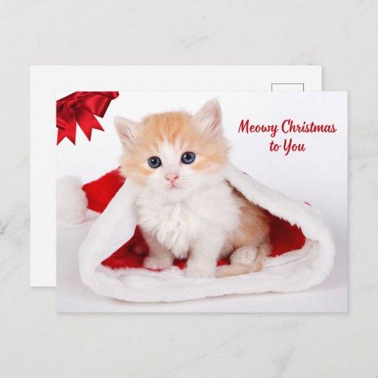 Meowy Kerstmis naar U Leuke Kat in Santa Hat Feestdagenkaart (Voorkant / Achterkant)