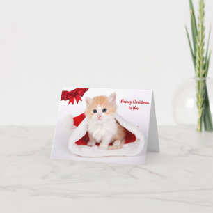 Meowy Kerstmis naar U Leuke Kat in Santa Hat Kaart