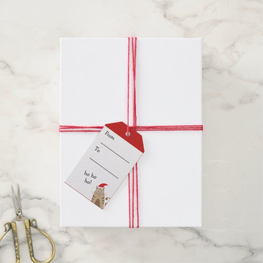 Meowy Kerstmis santa kat gepersonaliseerde naam Cadeaulabel (Met Touw)