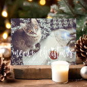 Meowy Kerstmis, script, foto met moderne wieltjes Feestdagenkaart