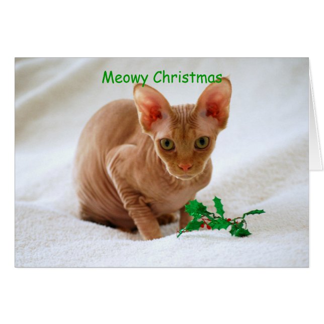 Meowy Kerstmis Sphinx Cat (Voorkant Horizontaal)