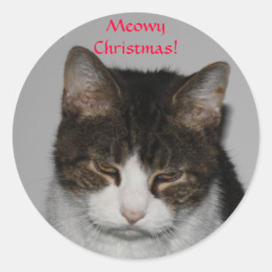 Meowy Kerstmis! -Stickers voor vakantieverkoop Ronde Sticker