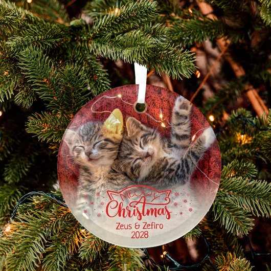 Meowy Kerstmis twee afbeeldingen leuke kattenliefh Glas Ornament