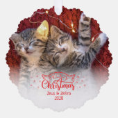 Meowy Kerstmis twee afbeeldingen leuke kattenliefh Ornament Kaart (Voorkant)