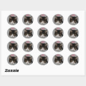 Meowy Kerstmis! -Vakantie groet Stickers (Vel)