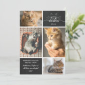 Meowy Kerstmis - Vier kat fotocollage Aankondiging (Staand voorkant)