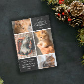 Meowy Kerstmis - Vier kat fotocollage Aankondiging