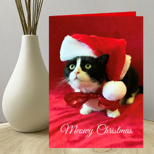 Meowy Kerstmis Wenskaart Kaart