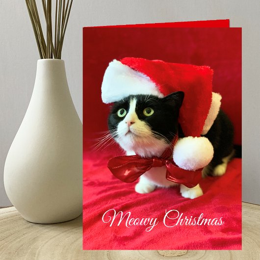 Meowy Kerstmis Wenskaart Kaart